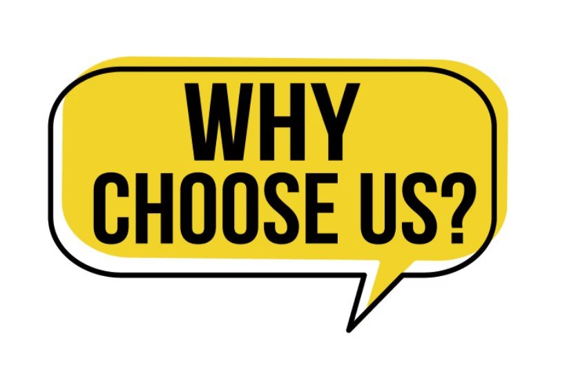 Why Tampa choose us for backlink campaigns